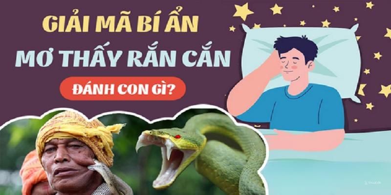 Nằm mơ thấy rắn cắn đánh số gì cho từng trường hợp cụ thể