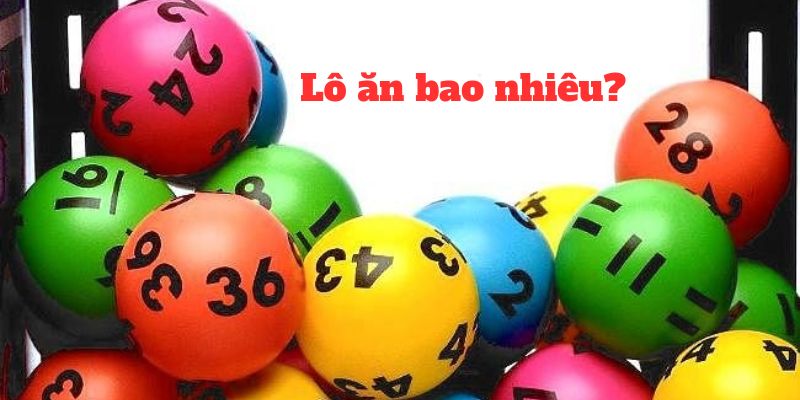 Lô ăn bao nhiêu với đài miền Bắc được nhiều người đặt ra