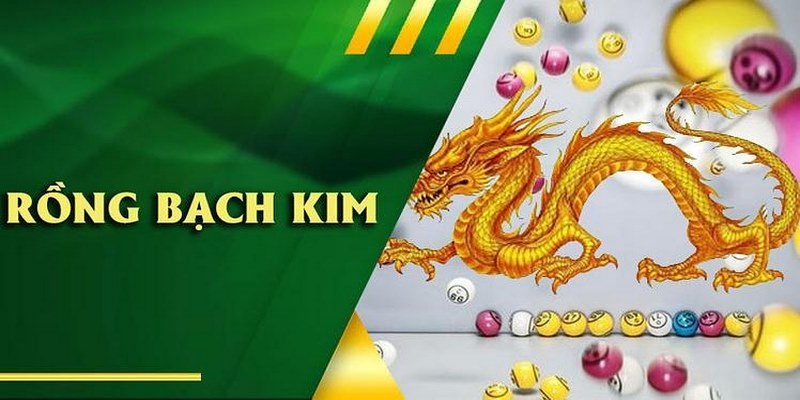 Lợi ích khi chọn soi cầu Bạch Kim